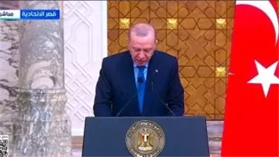 أردوغان من القاهرة: غزة تتصدر مباحثاتنا مع الرئيس السيسي ونرفض انتهاكات الاحتلال