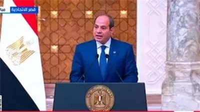 مصر تدين الهجمات الإرهابية في إقليم بلوشستان الباكستاني وتؤكد رفضها للعنف والتطرف