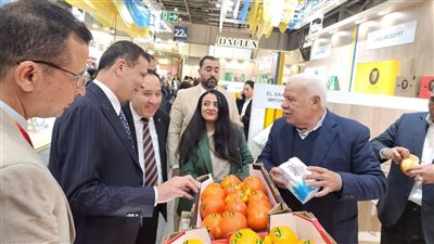 مصر تبرز في معرض 