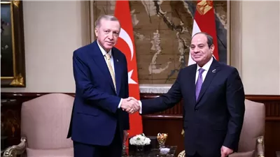 دعم فلسطين ووحدة الصومال.. النص الكامل لكلمة الرئيس السيسي خلا لقاء أردوغان