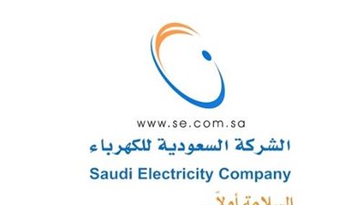 سداد فاتورة الكهرباء ببطاقة مدى والبطاقات الائتمانية.. شرح مفصل لعملية الدفع الرقمي