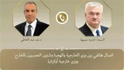 لتعزيز أمن الغذاء.. وزير الخارجية يستعرض مقومات مصر اللوجستية مع نظيره الأوكراني