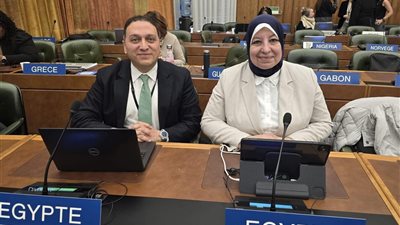مصر تعزز مكانتها الإقليمية والدولية في الملكية الفكرية بقرار من «الويبو»