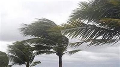 من الشتاء إلى الربيع.. رحلة الـ 30 يوماً في شهر أمشير وتأثيرها على درجات الحرارة بمصر
