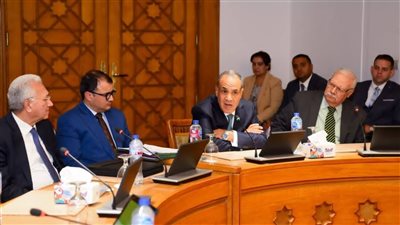 وزير الخارجية يجتمع بسفراء مصر السابقين لتعزيز الحضور المصري في أفريقيا