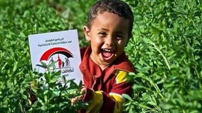 مستجدات الحماية الاجتماعية: موعد صرف معاشات فبراير 2026 وخطوات الاستعلام