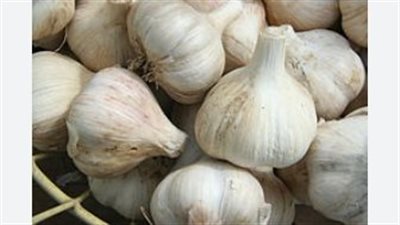 الخضروات الورقية والأسماك الدهنية.. منجم فيتامينات لتعزيز قدرة الجسم على الشفاء
