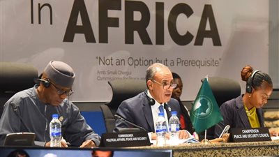 مصر تتصدر الجهود الإفريقية لدعم وحدة السودان والصومال