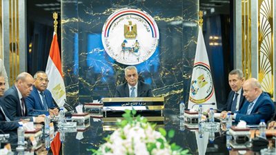 تعاون مصري كوري لتعميق توطين الصناعات العسكرية داخل مصانع الإنتاج الحربي