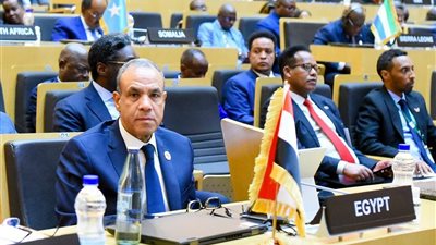 بتكليف من الرئيس.. وزير الخارجية يترأس وفد مصر في قمة الاتحاد الإفريقي