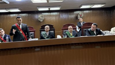 فيديو.. قتلت الطفولة على أعتاب الطمع.. مرافعة النيابة في مقتل طفل الدقي 