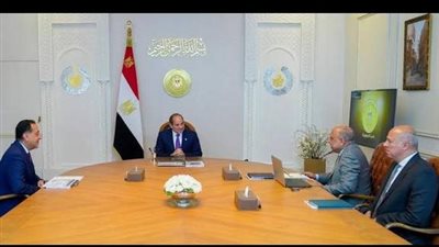 خطة تأمين احتياجات الصيف.. تفاصيل لقاء الرئيس بوزير الكهرباء لمواجهة الأحمال