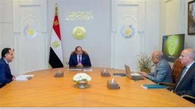 الرئيس السيسي يوجه بتأمين التغذية الكهربائية ومواجهة زيادة الأحمال في صيف 2026