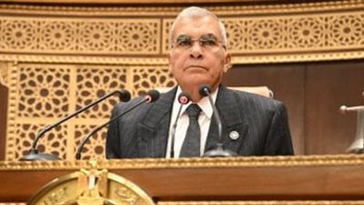 رئيس مجلس الشيوخ: يوم الشهيد محطة خالدة لتكريم شهداء مصر الأبرار