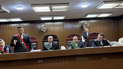 القصاص للبراءة المسلوبة.. إحالة أوراق قاتل طفل الدقي للمفتي