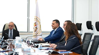 مشروع هيميلي في مصر.. استثمار 100 مليون دولار لتعزيز صناعة السيارات الإقليمية