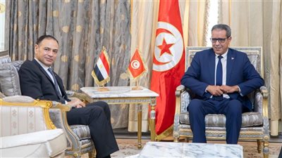 السفير المصري لدى تونس يلتقي برئيس المجلس الوطني للجهات والأقاليم لبحث تعزيز التعاون البرلماني