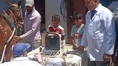 تشخيص وعلاج 3845 رأس ماشية بكفرالشيخ 