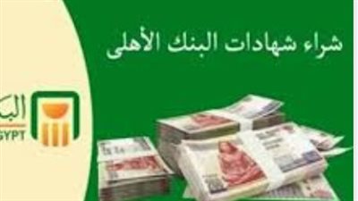 كيف تستثمر 300 ألف جنيه في البنك الأهلي المصري وتحقق أرباحاً قياسية؟