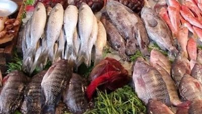 لماذا أباح الإسلام أكل السمك رغم كونه من الميتة؟.. توضيح فقهي حول ضوابط الطعام والشراب