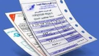 دليل الاستعلام عن فاتورة كهرباء مارس 2026.. خطوات بسيطة عبر الموقع الرسمي