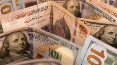 حركة العملات الأجنبية في مصر: الدولار يسجل 50.09 جنيه للشراء في أغلب البنوك الوطنية