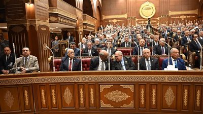 مجلس الشيوخ يواصل تطوير منظومة التعليم الطبي بمناقشة تعديلات قانون المستشفيات الجامعية