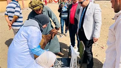 محافظ الدقهلية يتابع جهود مديرية الطب البيطري في تقديم القوافل الطبية البيطرية المجانية