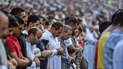 القاهرة تستعد للعيد بخطة صحية متكاملة.. غرف طوارئ وحملات على الفسيخ والأسواق