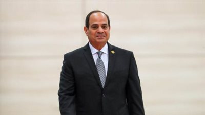 قرار جمهوري بتشكيل المجلس القومي لحقوق الإنسان 2026 برئاسة أحمد إيهاب جمال الدين