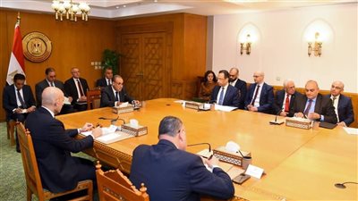 اجتماع حكومي موسع لمتابعة قضايا المصريين بالخارج وتطوير الخدمات المقدمة لهم