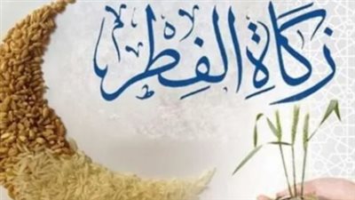 زكاة الفطر وفدية الصيام 2026.. بيان رسمي من الأمانة العامة لدور وهيئات الإفتاء