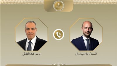 كواليس اتصال بدر عبد العاطي وجان نويل بارو: المسار الدبلوماسي هو الحل