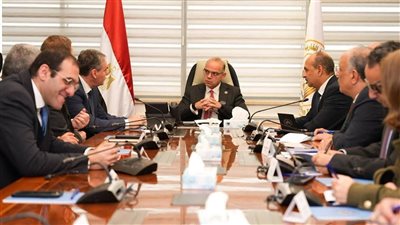 وزير الاستثمار يبحث مع دراسكيم العالمية إنشاء أول منطقة حرة لإنتاج سيانيد الصوديوم في مصر