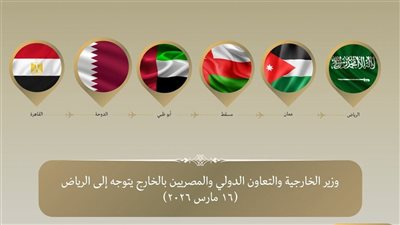 وزير الخارجية يتوجه إلى الرياض لتأكيد تضامن مصر الكامل مع السعودية