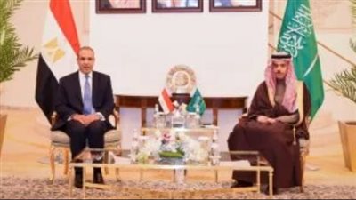 وزير الخارجية يجدد إدانة الانتهاكات الإسرائيلية المستمرة لأمن وسيادة لبنان وسوريا