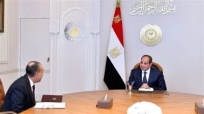 تحركات دبلوماسية مكثفة.. السيسي يتابع نتائج جولة وزير الخارجية في الخليج