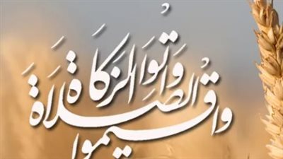 الفرق بين زكاة الفطر وفدية الصيام 2026.. المقادير والأحكام الشرعية