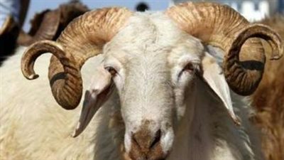 الحسابات الفلكية المبدئية لموعد صلاة عيد الأضحى 2026 وتوقيت ميلاد الهلال