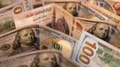 استقرار الأخضر.. سعر الدولار في البنك التجاري الدولي وبنك الإسكندرية الآن