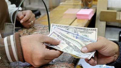 حركة العملات اليوم: استقرار سعر الدولار في المصرف المتحد وبنك البركة وكريدي أجريكول