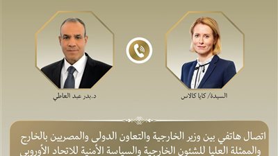 وزير الخارجية المصري يبحث مع 