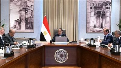 رئيس الوزراء يتابع إجراءات ترشيد استهلاك المواد البترولية والكهرباء