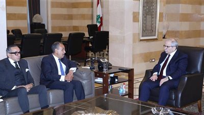 مصر ترسل مساعدات عاجلة للبنان وتدعو لوقف العدوان الإسرائيلي