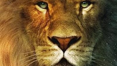 برج الأسد على الصعيد المهني: الزملاء يساندون خطواتك نحو النجاح والتميز