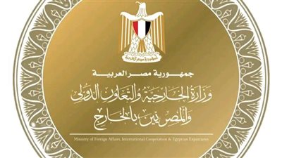 مصر تدين أعمال الشغب والاعتداء على سفارة الإمارات في دمشق وتؤكد على حماية البعثات الدبلوماسية