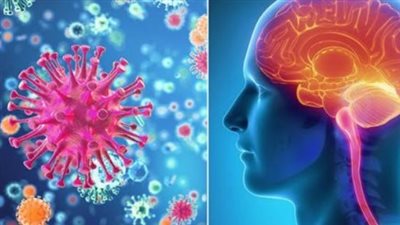 وزارة الصحة المصرية تكشف حقيقة انتشار الالتهاب السحائي.. بيان هام