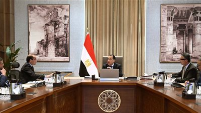 توريد القمح المحلي.. التنسيق بين المالية والتموين والزراعة لضمان موسم مثمر