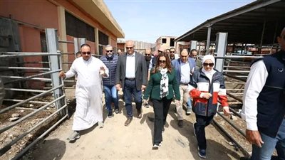 وزيرة التنمية المحلية والبيئة ومحافظ الإسكندرية يزوران المجزر الآلي بالعامرية للوقوف على جميع المشكلات والتحديات بالمجزر