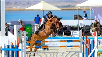 وزير الشباب يشيد بتنظيم بطولة كأس مصر للفروسية ويؤكد دعم الوزارة لتطوير اللعبة